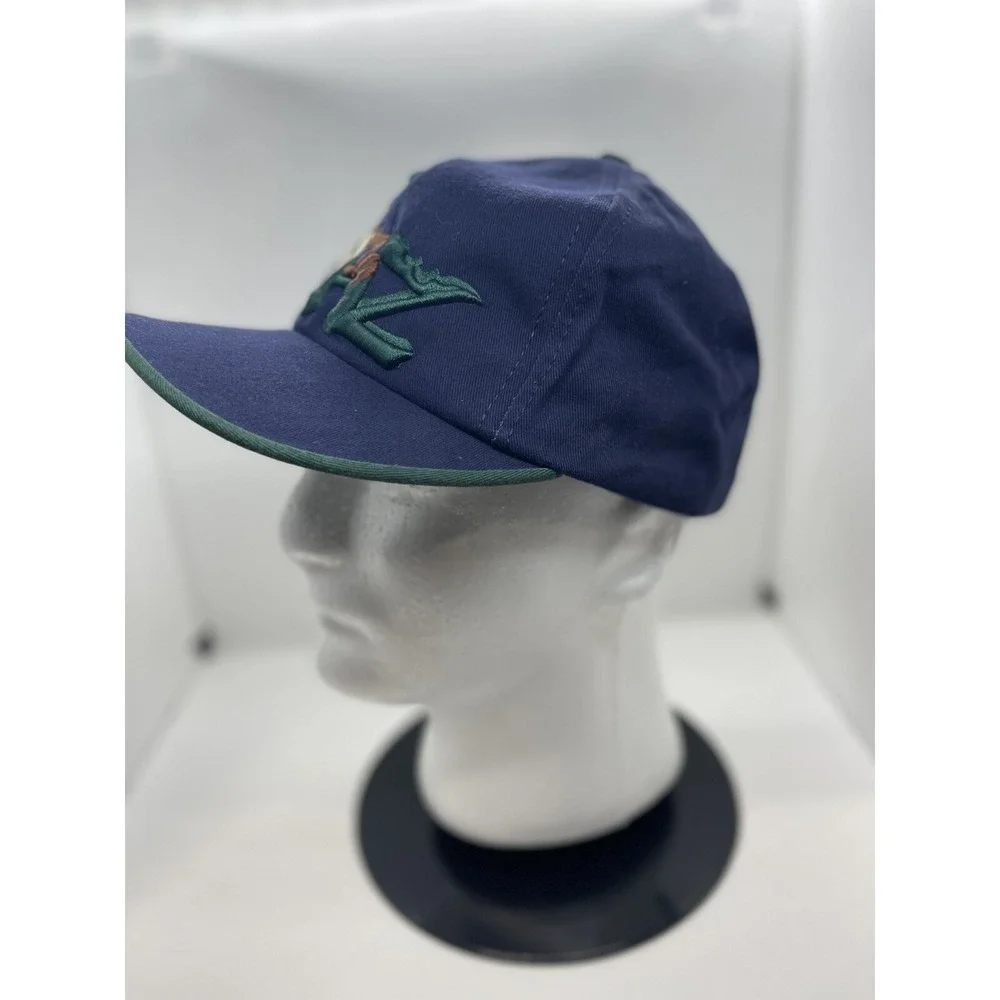 Vintage Embroidered Tasmanian Devil Taz SnapBack Hat WB Warner Bros New